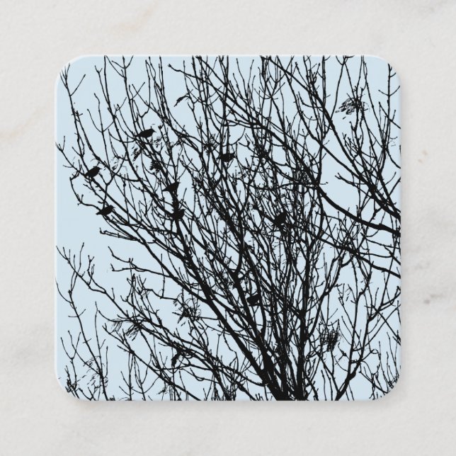 Starlings in a Tree - Black on Pale Blue D3E5EF Square Business Card (Front)