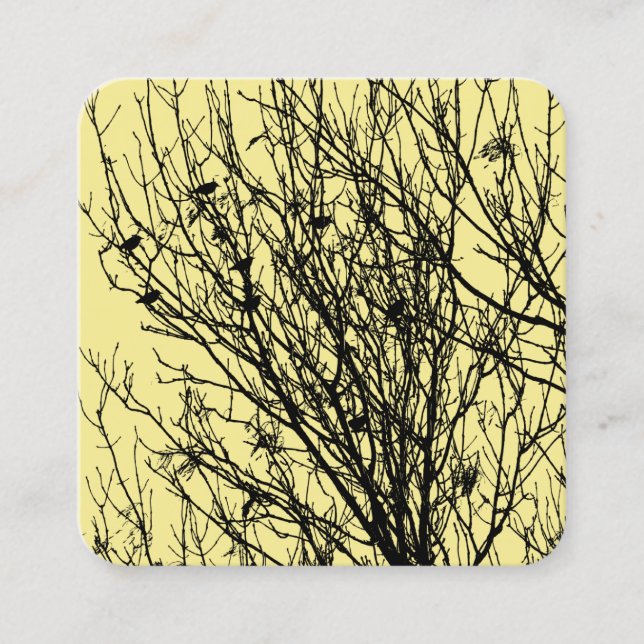 Starlings in a Tree - Black on Pale Yellow F5EA93 Square Business Card (Front)