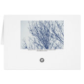 Starlings in a Tree - Cyanotype Effect (Back Horizontal)