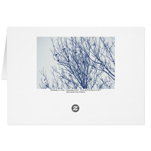 Starlings in a Tree - Cyanotype Effect (Back Horizontal)