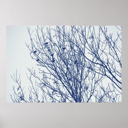 Starlings in a Tree _ Cyanotype Effect Poster