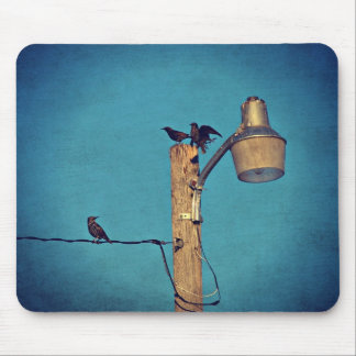 Starlings Mouse Pad