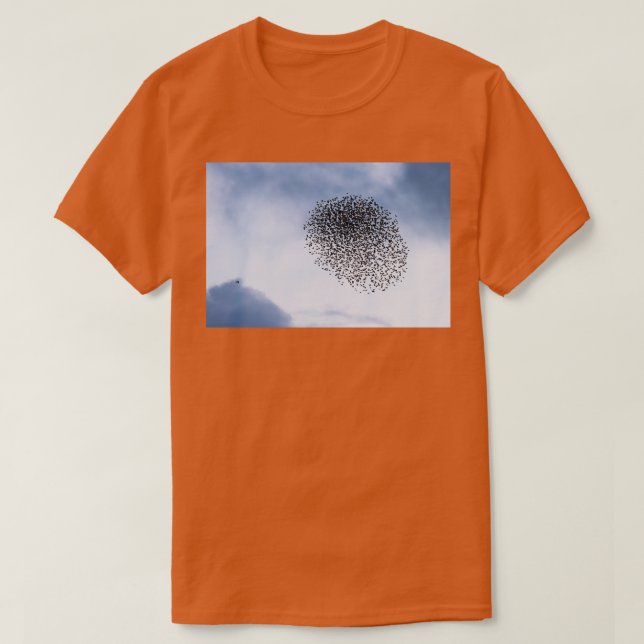Starlings v sparrowhawk I T-Shirt (Design Front)