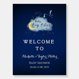 Starlit Baby Boy Bliss Stork Special Delivery Foam Board