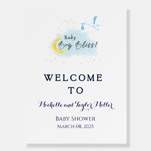 Starlit Baby Boy Bliss Stork Special Delivery Foam Board