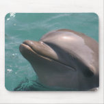 Starring a Dolphin Mouse Pad