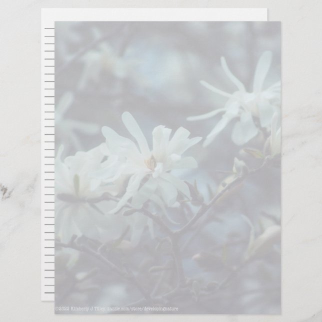 Starry Magnolia 3172 (Front/Back)