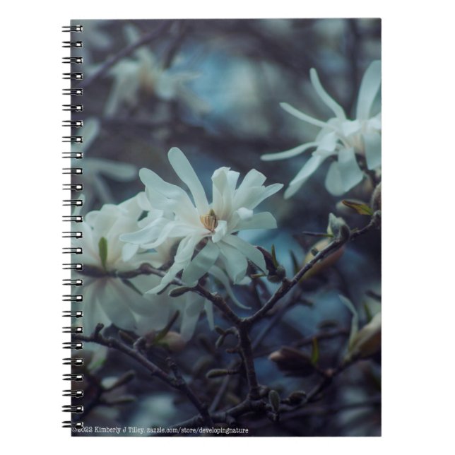 Starry Magnolia 3172 Notebook (Front)