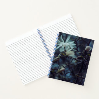 Starry Magnolia 3172 Notebook