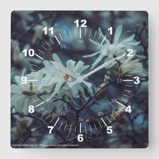 Starry Magnolia 3172 Square Wall Clock (Front)