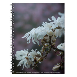 Starry Magnolia 5780 Notebook
