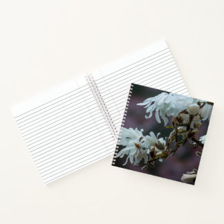 Starry Magnolia 5780 Notebook