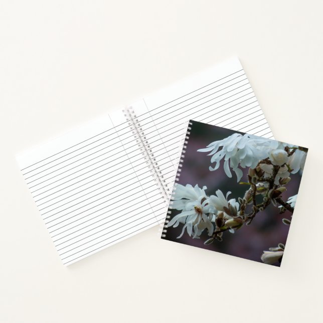 Starry Magnolia 5780 Notebook (Inside)
