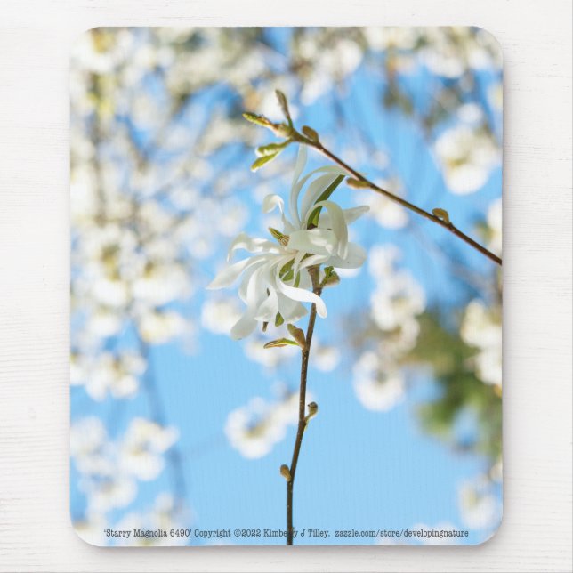 Starry Magnolia 6490 Mouse Pad (Front)