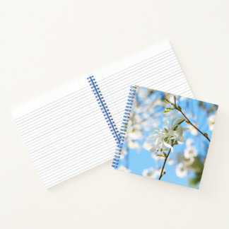 Starry Magnolia 6490 Notebook