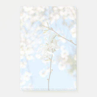 Starry Magnolia 6490 Post-it Notes