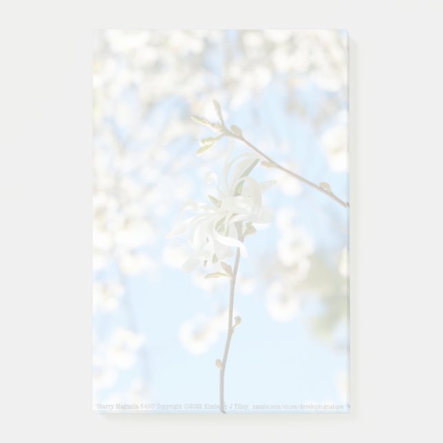 Starry Magnolia 6490 Post-it Notes (Front)