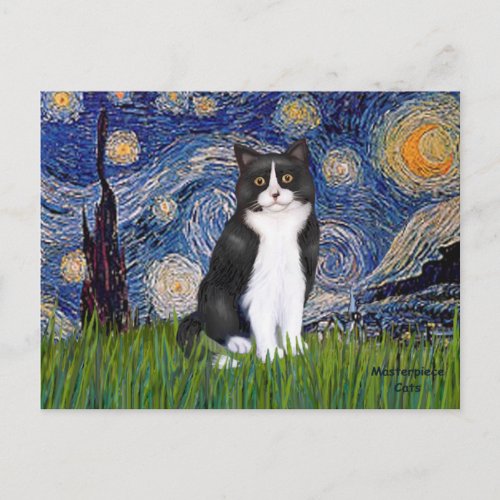 Starry Night _ Black and White Cat Postcard