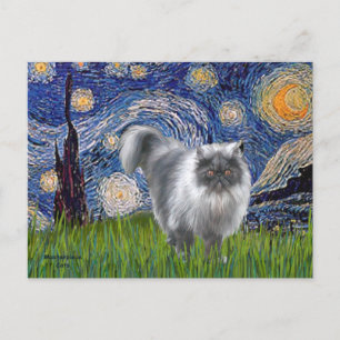 Starry Night - Blue Smoke Persian cat Postcard