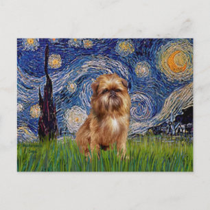 Starry Night - Brown Brussels Griffon Postcard