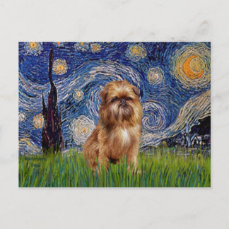 Starry Night - Brown Brussels Griffon Postcard
