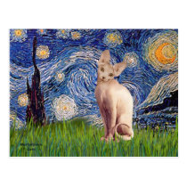 Starry Night - Cream Sphynx Cat Postcard Starry Night - Cream Sphynx Cat Postcard