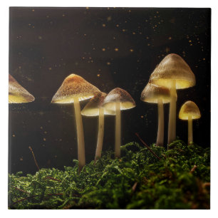 Starry Night Glowing Mushrooms  Ceramic Tile