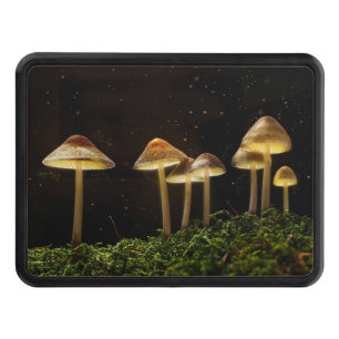 Starry Night Glowing Mushrooms  Hitch Cover