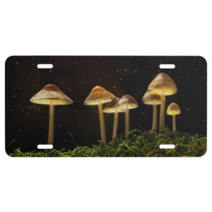 Starry Night Glowing Mushrooms License Plate