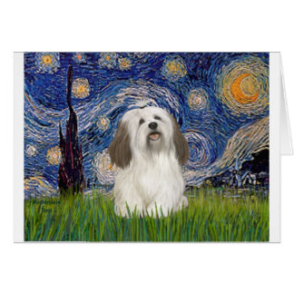 Starry Night - Havanese (#1) Cards