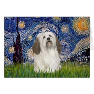 Starry Night - Havanese (#1) Cards