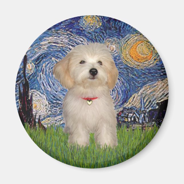 Starry Night - Havanese Puppy Magnet (Front)