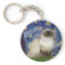 Starry Night - Himalayan cat 7