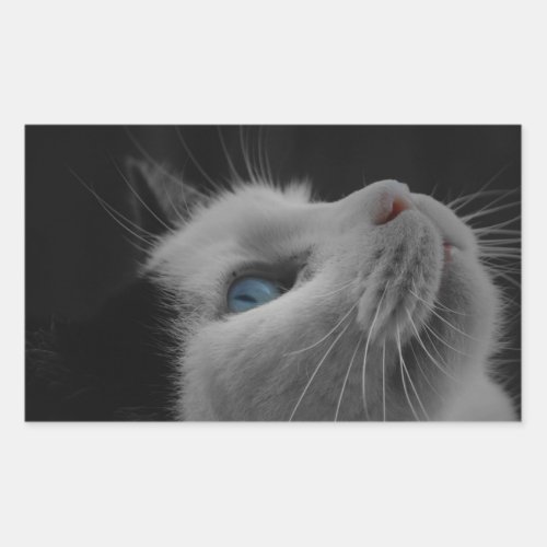 Starry night sky black  white cat with blue eyes rectangular sticker