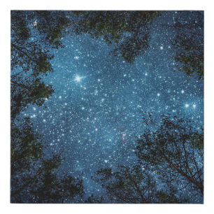 Starry night sky, Milky Way. Faux Canvas Print