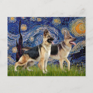Starry Night - Two German Shepherds Postcard