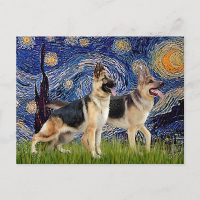 Starry Night - Two German Shepherds Postcard (Front)