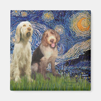 Starry Night - Two Italian Spinones Magnet