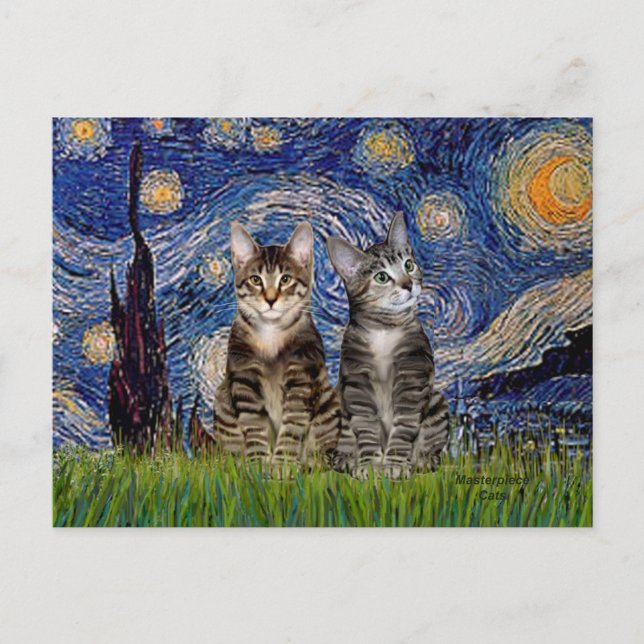 Starry Night - Two Tabby Tiger Cats Postcard (Front)