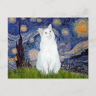 Starry Night - White cat Postcard