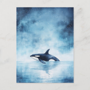 Starry Orca Whale Midnight Ocean Postcard
