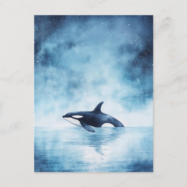 Starry Orca Whale Midnight Ocean Postcard (Front)