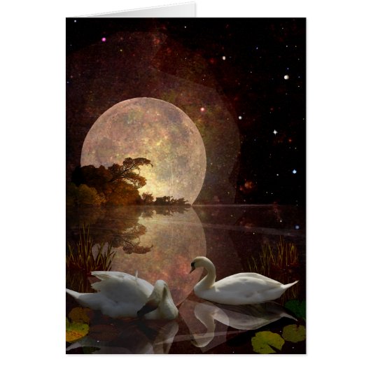 Starry River Cards (Front)