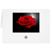 Starry Romantic Night Cards (Back Horizontal)