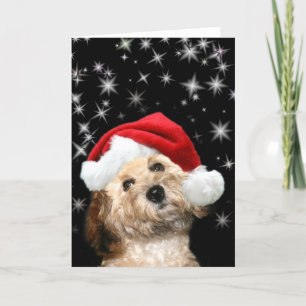 Starry Santa dog Holiday Card