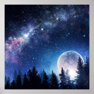 Starry Sky and Moon above a Forest Poster