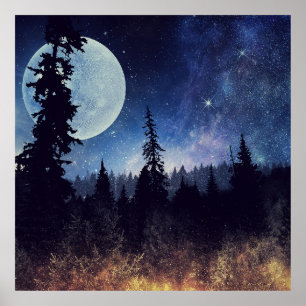 Starry Sky and Moon above a Forest Poster