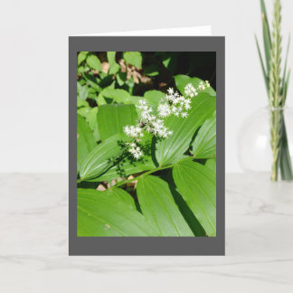 Starry Solomon's Seal Blank Note Card