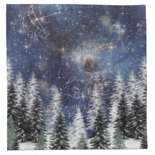 Starry Space Winter Forest Cloth Napkins