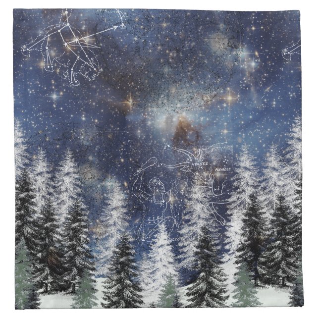 Starry Space Winter Forest Cloth Napkins (Front)